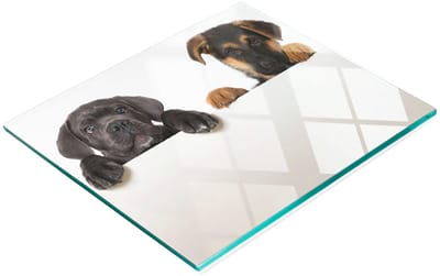Glazen serveerplank voor in de keuken met afbeelding van drie puppy's, 60x52 cm