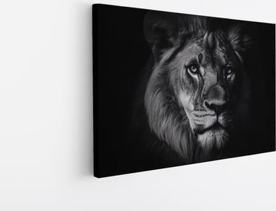 Saammp Canvas Schilderij - Leeuwen portret - Zwart-Wit - Afrika - Dieren - Natuur - 45x30 - Foto op canvas - Wanddecoratie - Muurdecoratie Woonkamer - Slaapkamer decoratie - Canvas Print