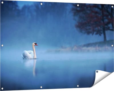 Gards Tuinposter Zwaan op het Water tussen de Mist - 120x80 cm - Tuindoek - Tuindecoratie - Wanddecoratie buiten - Tuinschilderij