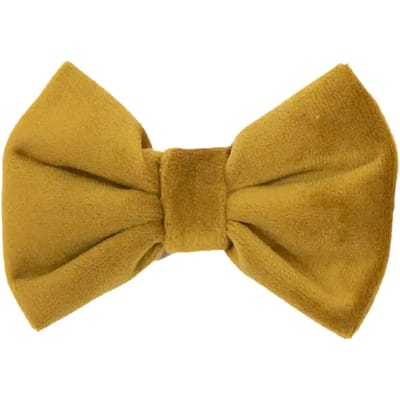 KENTUCKY Velvet Vlinderdas / Strik - Microvezelfluweel - Mosterd - Maat: S - 9 x 6 cm - Universeel - Zonder halsband