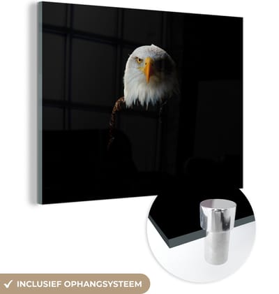 MuchoWow® Glasschilderij 160x120 cm - Schilderij acrylglas - Adelaar - Vogel - Zwart - Foto op glas - Schilderijen