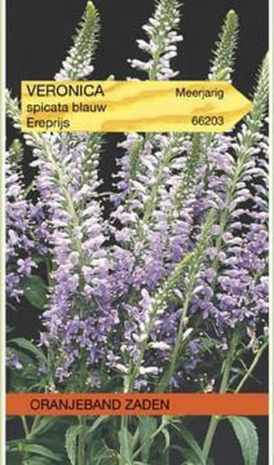 Veronica, Ereprijs, blauw
