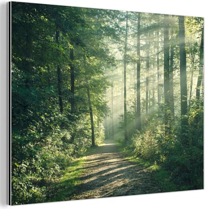 Aluminium schilderij 80x60 cm - Wanddecoratie metaal - Bos - Pad - Zon - Bomen - Groen - Natuur - Metalen muurdecoratie woonkamer - Decoratie industrieel - Foto op dibond - Industriële accessoires slaapkamer