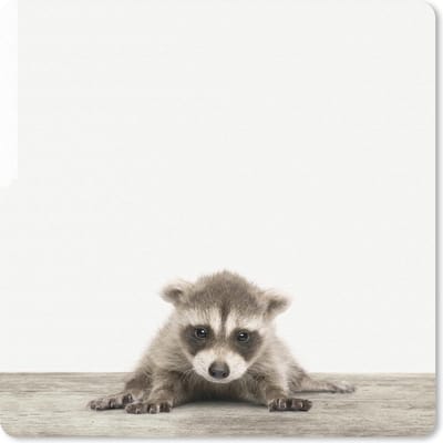 Muismat 20x20 cm - Mousepad Dieren - Wasbeer - Wit - Baby - Muismatten