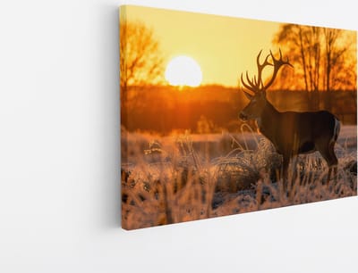 Saammp Canvas Schilderij - Hert - Zonsondergang - Winter - Natuur - Dieren - 45x30 - Foto op canvas - Wanddecoratie - Muurdecoratie Woonkamer - Slaapkamer decoratie - Canvas Print