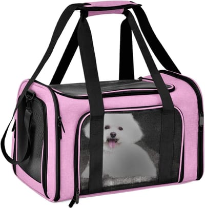 Katten Transportdrager - Reistas Huisdieren - Veilig Vervoer - Ademend Mesh Materiaal - 40x25x25cm - Roze