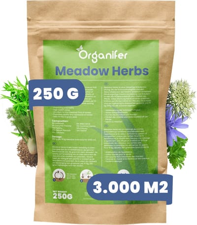 Weide kruidenmengsel Voor Paardenweide – Meadow Herbs (250gr, 3000m2) - Verbetert Spijsvertering & Vitaliteit, Natuurlijke Weerstandsverhoging, Ideaal voor Gezonde Paardenweide, Bevat Walstro, Pastinaak, Peterselie & Meer - Organifer