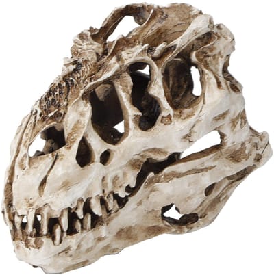 Dailygoods- Dinosaurus Schedel Hars - Decoratieve Sculptuur - Halloween Decoratie - Educatief Ornament - Interieur Decoratie - Levensecht Design
