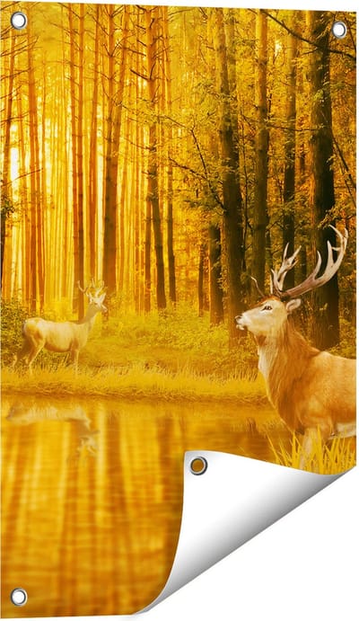Gards Tuinposter Twee Herten in het Bos bij het Water - 40x60 cm - Tuindoek - Tuindecoratie - Wanddecoratie buiten - Tuinschilderij