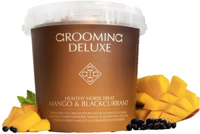 Grooming Deluxe - Gezonde Paardensnoepje mango & zwarte bes 500g
