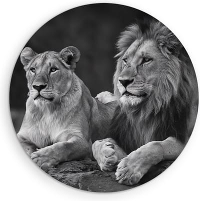 Saammp Muurcirkel Hout - 2 Leeuwen op een steen - Dieren - Natuur - Ø 90 - Wandcirkel - Wanddecoratie Cirkel - Muurdecoratie Woonkamer - Slaapkamer decoratie - Rond Schilderij