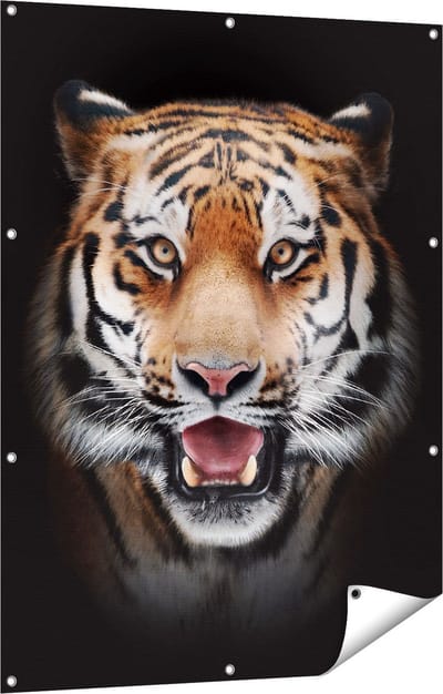 Gards Tuinposter Tijgerkop - Tijger - 90x120 cm - Tuindoek - Tuindecoratie - Wanddecoratie buiten - Tuinschilderij