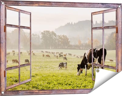 Gards Tuinposter Doorkijk Zwart Witte Koeien in de Wei - 90x60 cm - Tuindoek - Tuindecoratie - Wanddecoratie buiten - Tuinschilderij