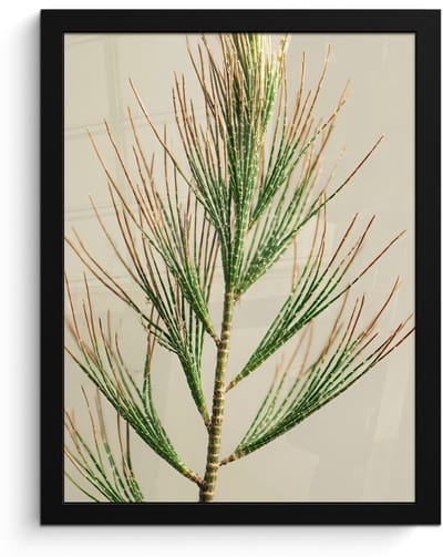 Poster in lijst - Fotolijst 30x40 cm - Posters - Dennentak - Naaldvormige bladeren - Lichtgroen - Posterlijst zwart - Decoratie - Wanddecoratie woonkamer - Muurdecoratie slaapkamer