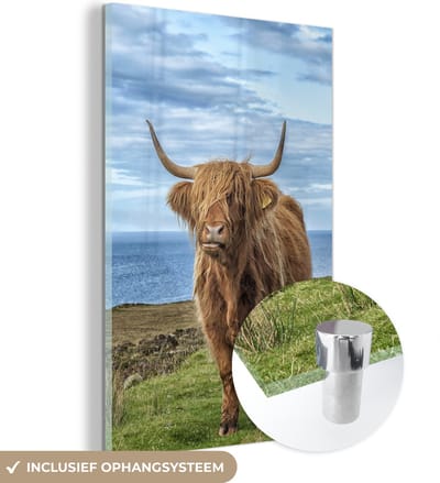 MuchoWow® Glasschilderij 120x180 cm - Schilderij acrylglas - Schotse Hooglander - Water - Horens - Foto op glas - Schilderijen
