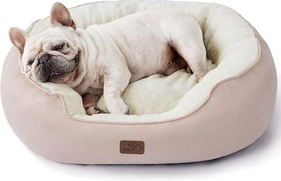 Wasbaar Kattenbed 76 x 61 x 20 cm - Met Dubbelzijdig Binnenkussen - Comfortabele Slaapplaats voor Katten of Kleine Honden - Roze