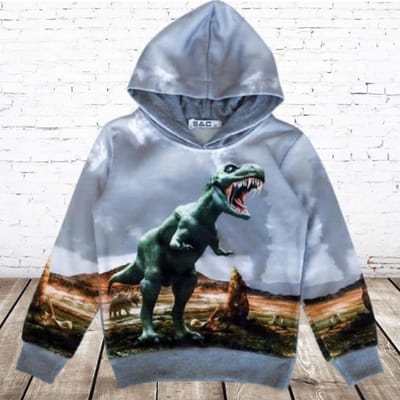 Grijze hoodie met dino h150 - Grijs - 86/92