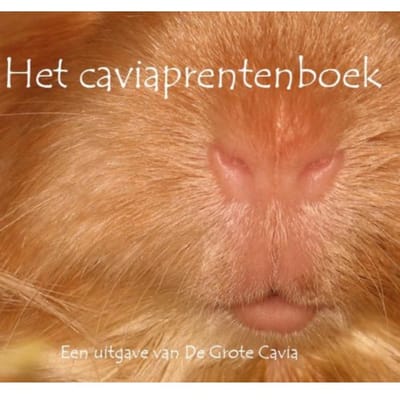 Het Caviaprentenboek - Caviaprentenboeken - I. den Schrijver