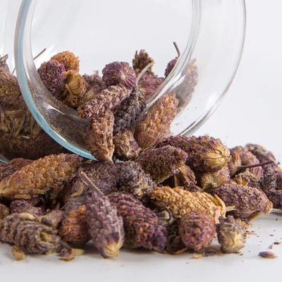 Tuana Kruiden - Franse Lavendel - Karabas Otu 35 G - TUTHEE020