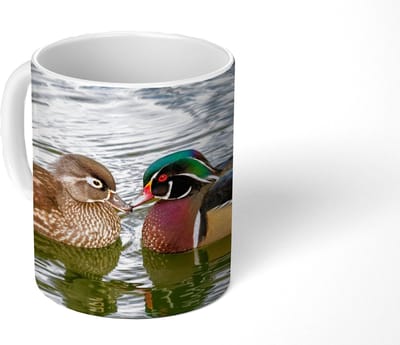 Mok - Koffiemok - Eend - Vogels - Water - Veren - Dieren - Mokken - 350 ML - Beker - Koffiemokken - Theemok