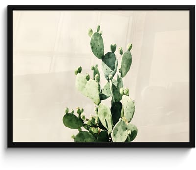 Poster in lijst - Fotolijst 80x60 cm - Posters - Cactus - Groen - Minimalistisch - Posterlijst zwart - Decoratie - Wanddecoratie woonkamer - Muurdecoratie slaapkamer