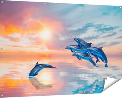 Gards Tuinposter Groep Dolfijnen Springen uit het Water - 150x100 cm - Tuindoek - Tuindecoratie - Wanddecoratie buiten - Tuinschilderij
