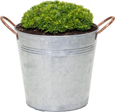 Mega Collections Emmer/plantenpot/bloempot Jean - zink - zilver - D25 X H21 cm