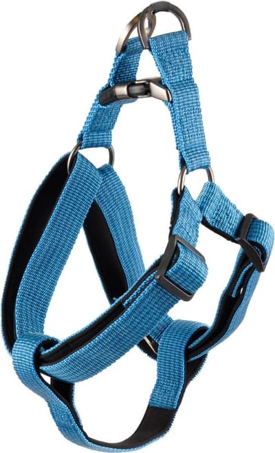 Flamingo Hondentuig Jannu Blauw - Blauw/Zwart - 40 - 70 cm x 25 mm