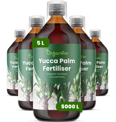 Vloeibare Meststof Voor Yucca Palmen - 5X1 L Voor 5000 L - Npk 2-1-8 - Geschikt Voor Yucca-Palmen In Pot En In De Tuin - Versterkt De Wortels - Helpt De Compacte - Architecturale Plantvorm Te Behouden - Ontwikkeld Voor Regelmatig - Organifer