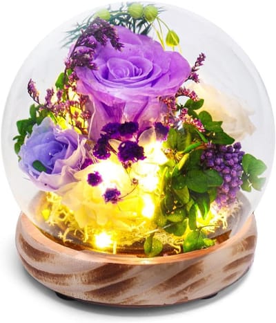 Geconserveerde Rozen - Echte Bloemen Cadeaubloem - Decoratie & Cadeau - Levensduur 3-5 Jaar - 13.5 cm Hoog - Paars