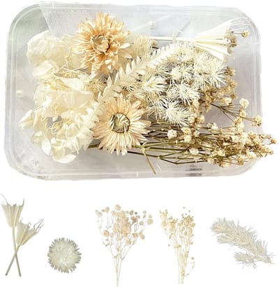 Gedroogde Bloemen Set - Decoratieve Planten - Handwerk Decoratie - Natuurlijke Materialen - Meerkleurig