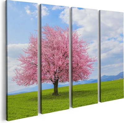 Artaza Canvas Schilderij Vierluik Roze Sakura Bloesem Boom In Het Groene Veld - 80x60 - Foto Op Canvas - Canvas Print