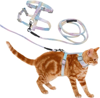 Dailygoods- Kat Tuigje Ontsnappingsbestendig - Lijn Set - Verstelbare Banden - Zacht Polyester - Ademend Materiaal - Comfortabele Pasvorm - Kat Harnas