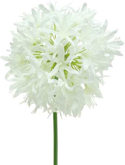 Sierallium kunstwit wit Ø12cm H62cm