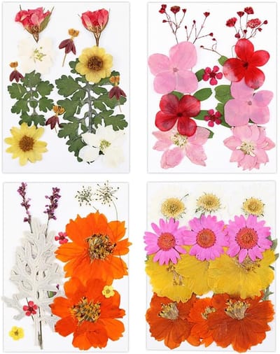 Gedroogde Bloemen - Geperste Bladeren - Knutselen Decoratie - Natuurlijk Materiaal - 4 Sets 12 Stuks - Natuurlijk Kleuren