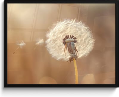 Poster in lijst - Fotolijst 80x60 cm - Posters - Paardenbloem - Beige - Natuur - Bloem - Posterlijst zwart - Decoratie - Wanddecoratie woonkamer - Muurdecoratie slaapkamer