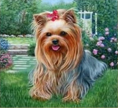 VDTOYS® DIAMOND PAINTING volwassenen - VDTB120 - vierkante steentjes - full - groot formaat - nieuwe tekeningen - 45 op 45 cm (canvas) - 40 op 40 cm (foto)