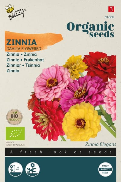 Zaden zinnia dahliabloemige 1.5 gram