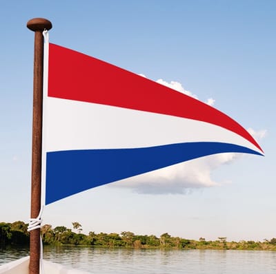 Nederlandse puntvlag 50x75cm