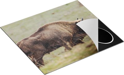 Chefcare Inductie Beschermer Bizon in het Gras - 60x50 cm - Afdekplaat Inductie - Kookplaat Beschermer - Inductie Mat