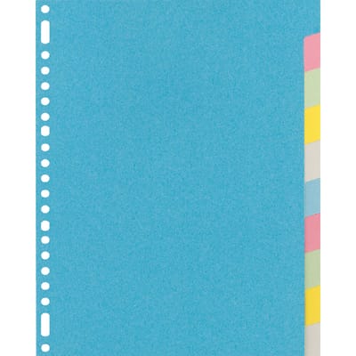 Kangaro tabbladen - A4 - gerecycled karton - 220 grams - 23-gaats - 10-delig blanco