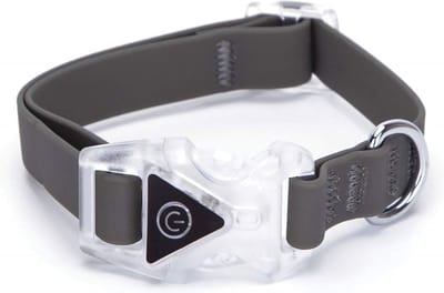 Nobleza Hondenhalsband licht - Veiligheidsverlichting hond - Verstelbaar 25 / 40 cm - Waterdicht - Grijs - Maat S