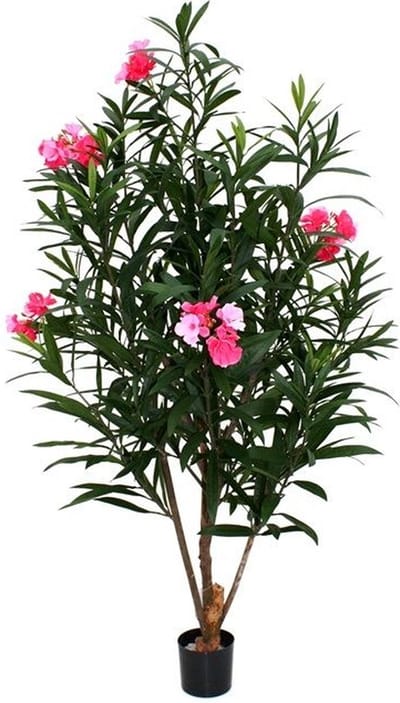 Oleander Deluxe 150cm rose