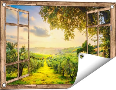 Gards Tuinposter Doorkijk Olijvenbomen - Olijvengaard - 60x40 cm - Tuindoek - Tuindecoratie - Wanddecoratie buiten - Tuinschilderij