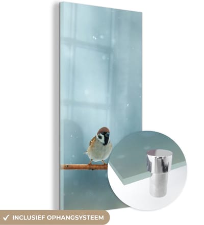 MuchoWow® Glasschilderij 20x40 cm - Schilderij acrylglas - Vogels - Mus - Sneeuw - Winter - Foto op glas - Schilderijen