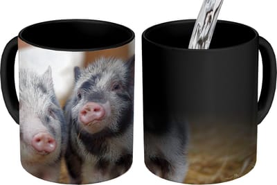 Magische Mok - Foto op Warmte Mokken - Koffiemok - Varken - Dieren - Varkentje - Magic Mok - Beker - 350 ML - Theemok
