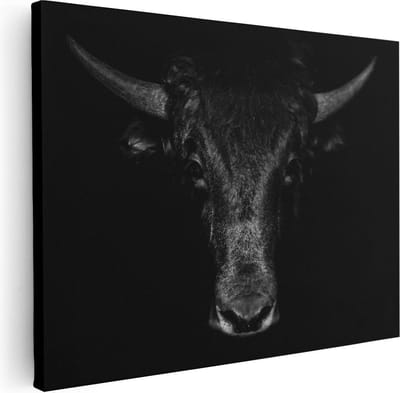 Artaza Canvas Schilderij Stierenkop - 40x30 cm - Klein - Wanddecoratie Schotse Hooglander - Muurdecoratie Gewei - Kamer Accessoires Woonkamer