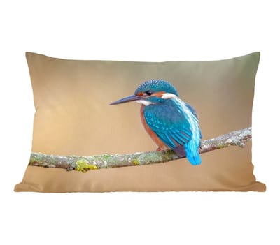 Sierkussens - Kussentjes Woonkamer - 60x40 cm - Vogel - IJsvogel - Dieren - Tak