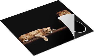 Chefcare Inductie Beschermer Leeuw en Leeuwin in het Donker - 60x50 cm - Afdekplaat Inductie - Kookplaat Beschermer - Inductie Mat