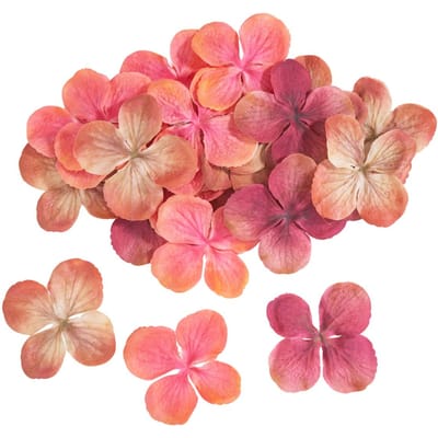 Hortensia bloesems - Peach